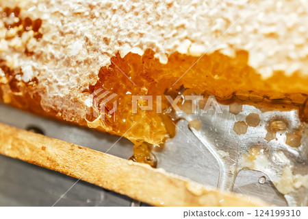 Close-up of honeycomb filled with thick amber honey. Part of the wax cap has been cut off, and the viscous honey is starting to flow out. Natural texture of honeycomb and honey. Close-up of honeycomb filled with thick amber honey. Part of the wax cap has been cut off, and the viscous honey is starting to flow out. Natural texture of honeycomb and honey. 124199310