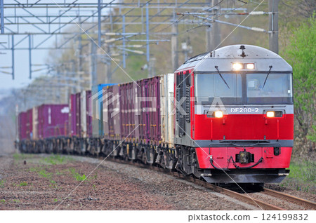 Chitose Line Uenae JR Freight DF200-2 (Washibe) Chitose Line Uenae JR Freight DF200-2 (Washibe) 124199832