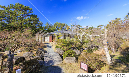 Early spring at Hayama Shiosai Park 124199871