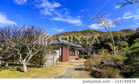 Early spring at Hayama Shiosai Park 124199874