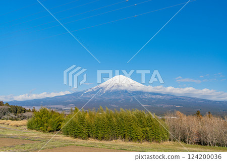 [靜岡縣] 初春時節從白絲自然公園眺望富士山 124200036