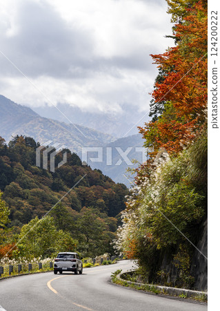 秋葉Hakusan Shirakawago白色路 秋葉Hakusan Shirakawago白色路 124200222