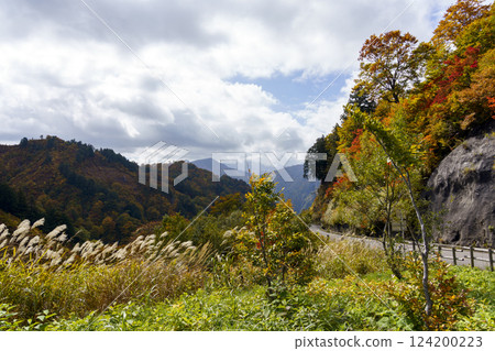 秋葉Hakusan Shirakawago白色路 秋葉Hakusan Shirakawago白色路 124200223
