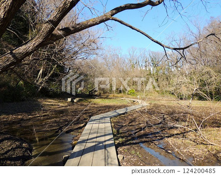 北本自然觀察公園 北本自然觀察公園 124200485