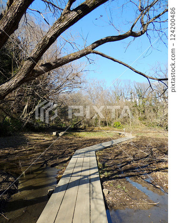 北本自然觀察公園 北本自然觀察公園 124200486