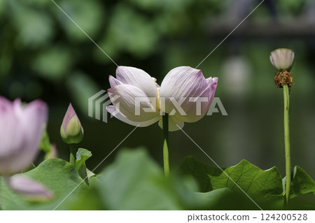 Hana Hara Park Hana Hara Park 124200528