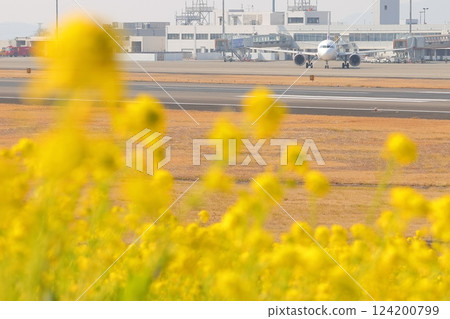 Airport seen from inside a rapeseed flower field 124200799