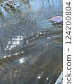 Water surface from a canoe 124200804