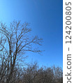 A sunny day in the Kushiro Marsh 124200805