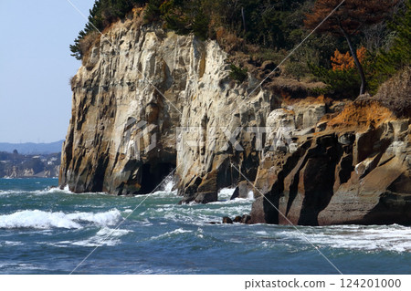 浪漫的茨城（這就是大自然創造的美麗）日立市、小貝濱綠色公園和川尻海灘 124201000