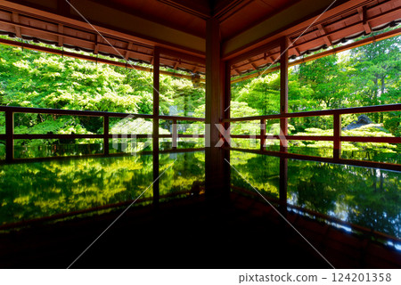 The new greenery reflected in the Kyu-Chikurin-in Temple 124201358