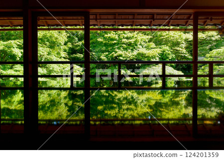 The new greenery reflected in the Kyu-Chikurin-in Temple 124201359