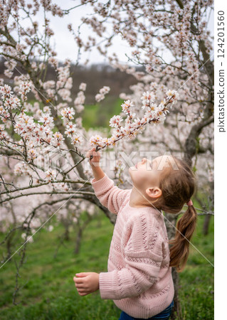Lovely little girl in a blooming pink and white garden Petrin in Prague, spring time in Europe 124201560