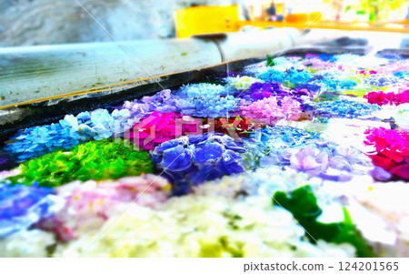 Colorful hydrangea floating in water Colorful hydrangea floating in water 124201565