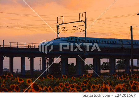 Shinkansen train running in the sunset 124201567