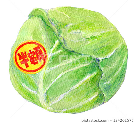 Watercolor illustration: Cabbage with a half-price sticker 124201575