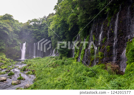 白絲瀑布，富士山腳下美麗的瀑布 124201577