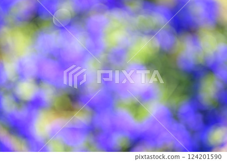 紫色的花朵花田一側單色春天背景材料 124201590