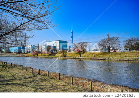 View of the Kyu-Nakagawa River and Skytree in Edogawa Ward on a sunny spring day View of the Kyu-Nakagawa River and Skytree in Edogawa Ward on a sunny spring day 124201623