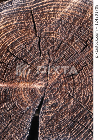 Brown red wood close up photography 124201708