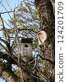 Bird wooden house on the tree 124201709