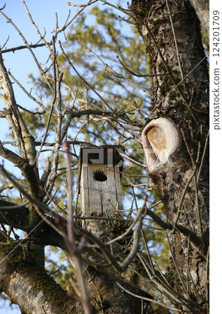 Bird wooden house on the tree Bird wooden house on the tree 124201709