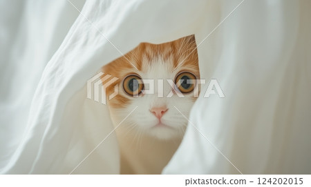A cat peeking out from under a white sheet 124202015