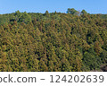 Winter mountain trees in Japan (Shizuoka Prefecture) 124202639