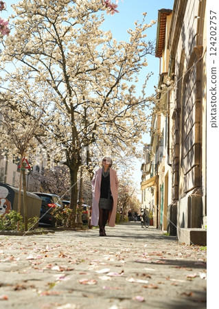 Magnolia Tree in Bloom Along City Sidewalk 124202757