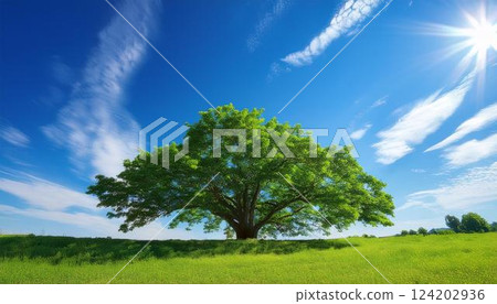 藍天下的大樹綠草地 1 124202936