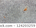 Asphalt on the station platform [Uno Line, Hayashima Station] 124203259