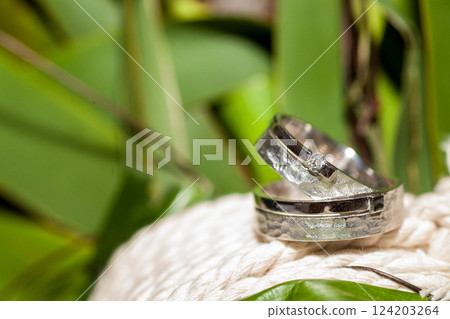 Beautiful and Elegant Wedding Rings Displayed on a Natural Background Setting Outdoors Beautiful and Elegant Wedding Rings Displayed on a Natural Background Setting Outdoors 124203264