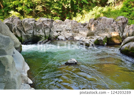 大瀧神社大蛇淵（滋賀縣） 124203289