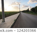 Sugarcane fields and roads near Shinjo Beach at dusk (Miyakojima, Okinawa) 124203366