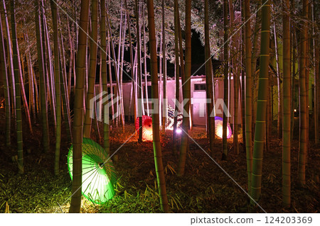 陽光透過竹林照射進來，還有五顏六色的日本遮陽傘 124203369