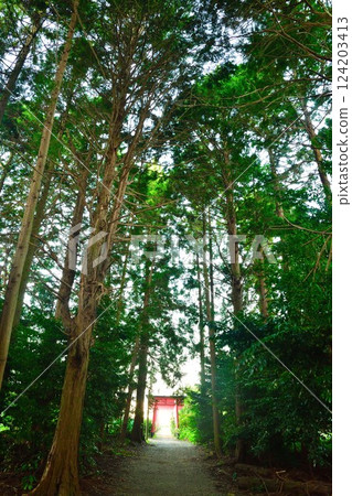 友八幡稻荷大社（滋賀縣） 124203413