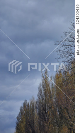 Blue sky with clouds, winter weather. Clouds on the background of trees. Blue sky with clouds, winter weather. Clouds on the background of trees. 124203456