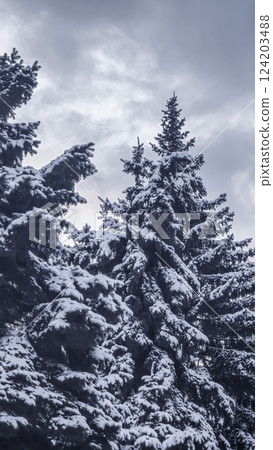 Blue sky with clouds, winter weather. Clouds on the background of trees. Blue sky with clouds, winter weather. Clouds on the background of trees. 124203488