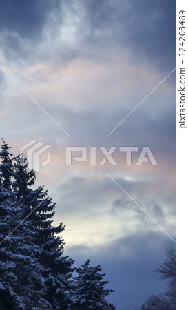 Blue sky with clouds, winter weather. Clouds on the background of trees. Blue sky with clouds, winter weather. Clouds on the background of trees. 124203489