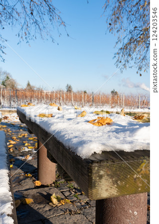 A table outside covered with snow. 124203546