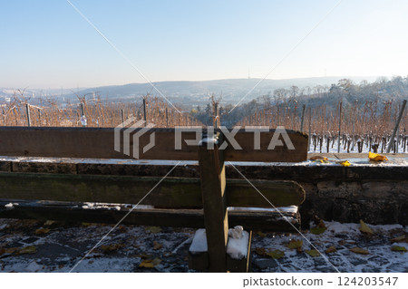 An empty wooden bench with a beautiful view of nature. 124203547