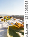 Yellow autumn leaves are lying on the snow. 124203548
