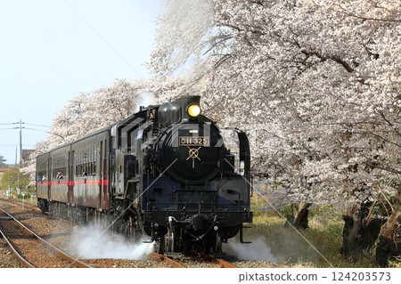 Spring Moka railway SL Spring Moka railway SL 124203573