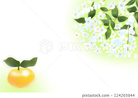 Yuzu Card 1 124203844