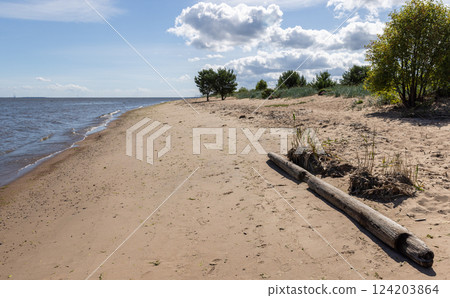 Sandy beach stretching along a calm waterline, with scattered vegetation 124203864