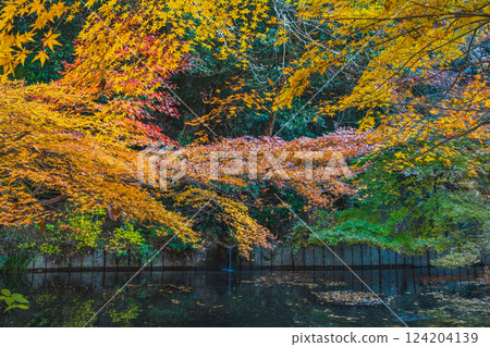 Morning scenery of Yusanji Temple in Fukuroi city, Shizuoka prefecture, with autumn leaves 124204139