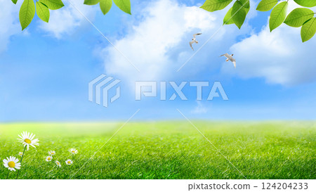 A Bright and Beautiful Summer Landscape Featuring Lush Green Grass and a Clear Blue Sky A Bright and Beautiful Summer Landscape Featuring Lush Green Grass and a Clear Blue Sky 124204233