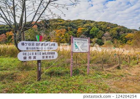 磐田市（靜岡縣）桶谷沼澤的紅葉和招牌 124204254