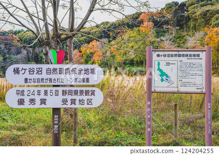 磐田市（靜岡縣）桶谷沼澤的紅葉和招牌 124204255