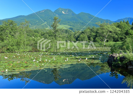 [新潟縣] 左右對稱的妙高山（伊森池） 124204385